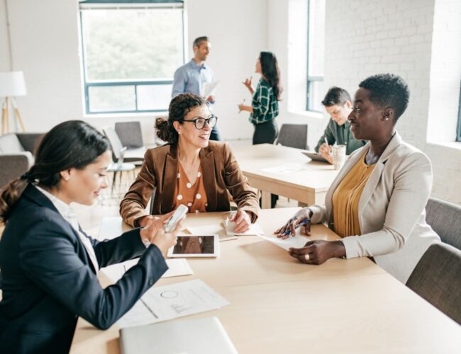 expert fiscal renaissances promotion